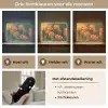 Bloemenveld - Zonnestralen - Oranje Light Box met batterij (Wandlamp) middel -USP_lichtkleurNL