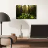 Bomen - Bos - Mos - Planten - Zon - Natuur aluminium wit klein -sfeer5