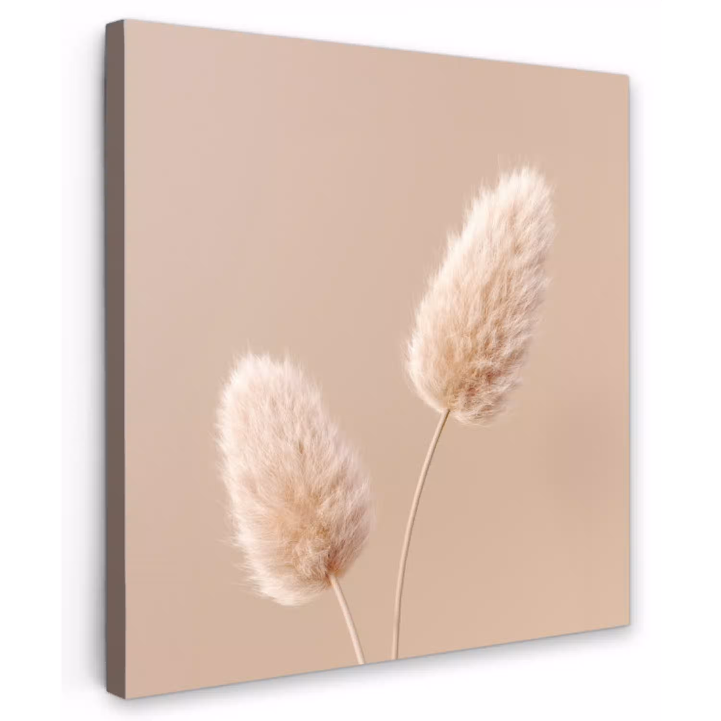 Pampas pluimen - Beige - Planten Tuinposter op houten frame 2 cm dik klein -3d