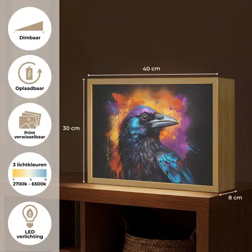 Vogel - Kraai - Graffiti - Zwart - Dieren Light Box met batterij (Wandlamp) middel -USP_websiteoverzichtNL
