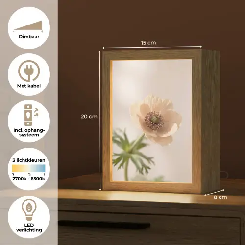 Bloem - Minimalistisch - Groen Light Box met kabel (Tafellamp) klein -USP_NL