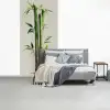Bamboestengels - Sierlijk - Groen fotobehang vinyl groot -slaapkamer