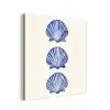 Schelpen - Blauw - Patroon aluminium wit klein -3d