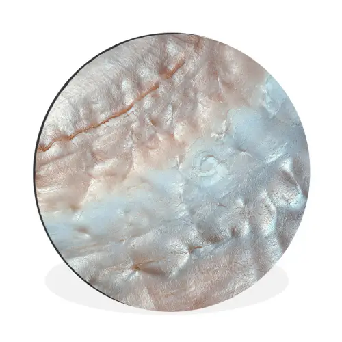 Schelpen - Abstract - Natuur Wandcirkel aluminium klein -3d