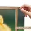 Kuiken - Eend - Geel - Gras Light Box met batterij (Wandlamp) middel -USP_websiteprintNL