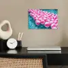 Strandballen - Roze - Water poster papier klein -sfeer1