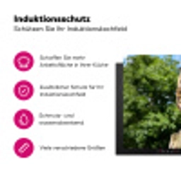 Uil - Boomstronk - Bos - Lucht Inductie beschermer vinyl 3mm klein -zzzzzzz-lf-ups