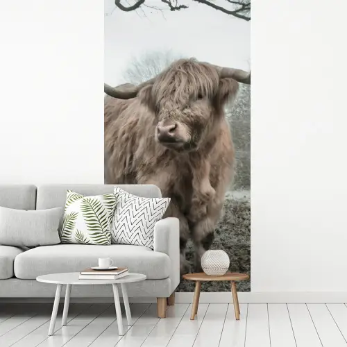 Schotse hooglander - Natuur - Herfst - Dieren - Wild - Bos fotobehang vinyl groot -woonkamer