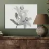 Lelies - Elegant - Zwart - Wit PET vilt klein -sfeer2