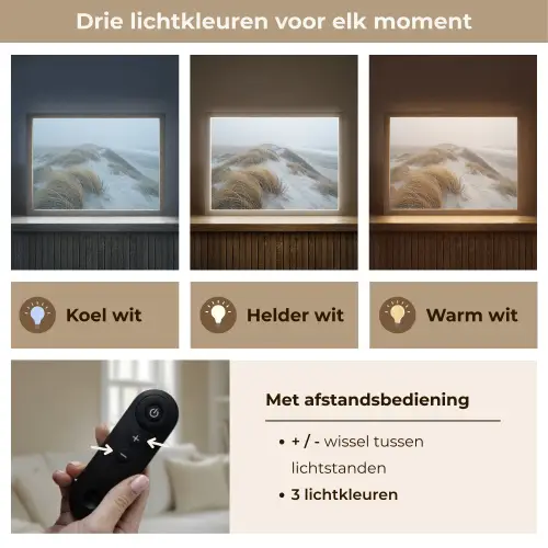 Duinen - Strand - Planten - Natuur Light Box met batterij (Wandlamp) middel -USP_lichtkleurNL