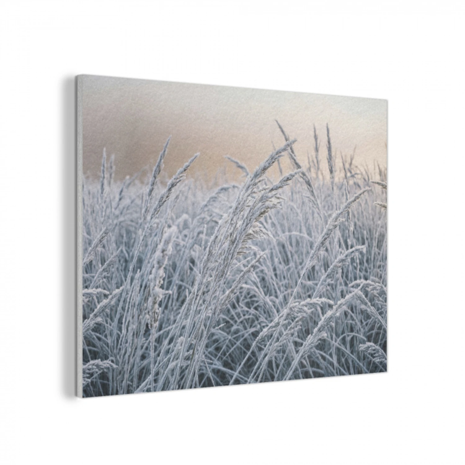 Rijp - Gras - Kristallen - Winter - Minimalistisch PET vilt klein -3d