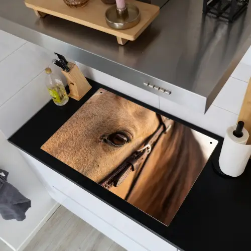 Paard - Oog - Bruin Inductie beschemer met haakjes klein -sfeer1