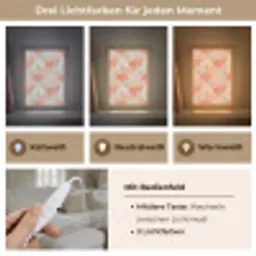 Waaiers - Goud - Roze Light Box met kabel (Tafellamp) klein 925 -USP_lichtkleurDE