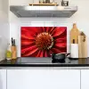Close up - Bloem - Quote - Rood Inductie beschemer met haakjes klein -sfeer2