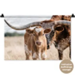 Texas Longhorn - Kalf - Weide - Dieren Wandkleed katoen klein -t3d_DE