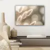 Hazestaartgras - Wit - Zonlicht canvas 2cm klein -sfeer6