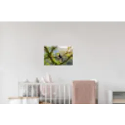 Toekan - Jungle - Natuur - Kleurrijk Muursticker klein -kinderkamer