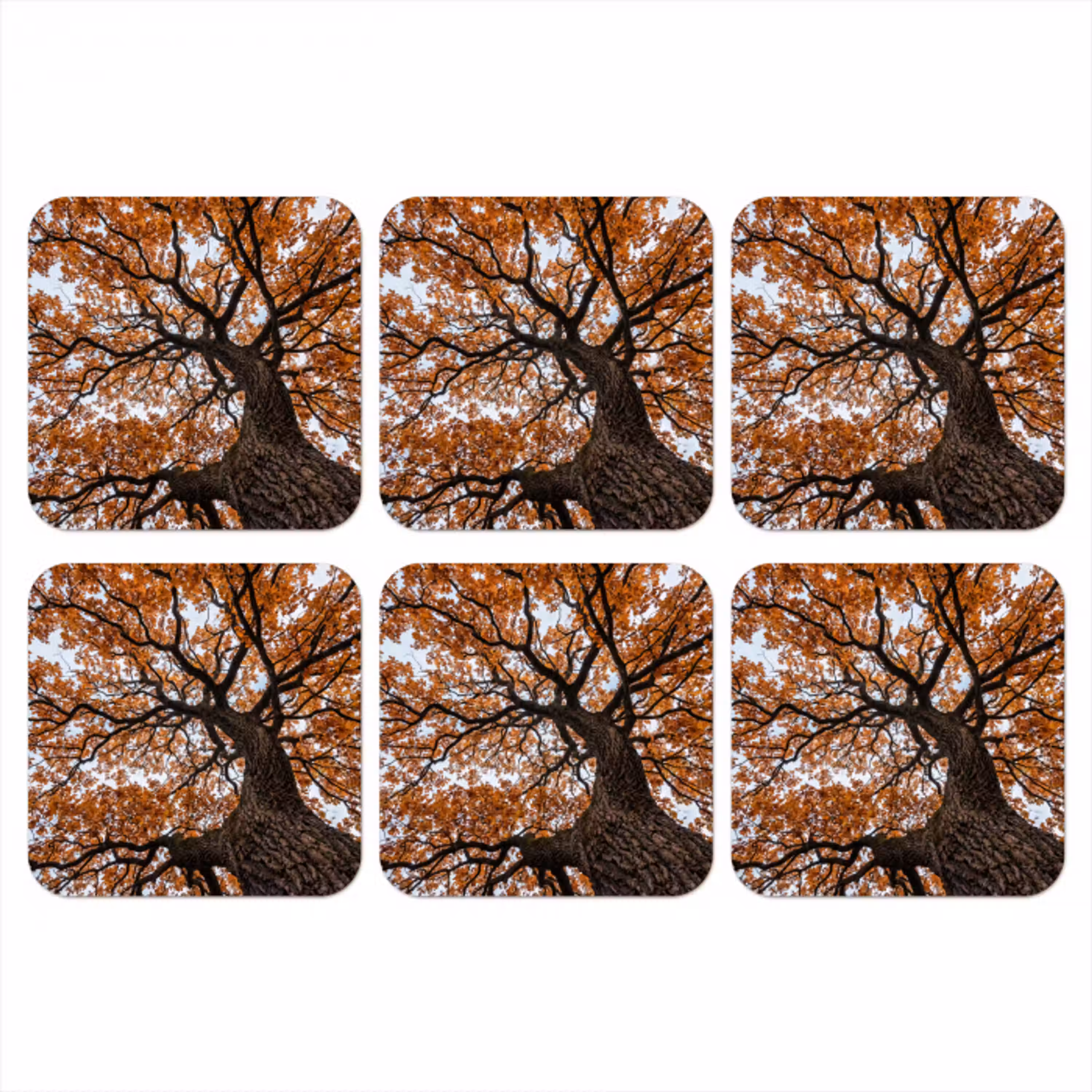 Boom - Bladerdak - Herfst - Oranje - Sfeervol onderzetter kurk middel -3d