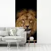 Leeuw - Portret - Zwart - Dieren fotobehang vinyl groot -woonkamer