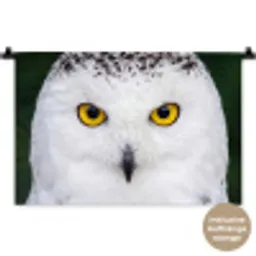 Sneeuwuil - Portret - Geel Wandkleed katoen klein -t3d_DE
