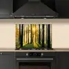 Bos - Zon - Bomen - Gras - Landschap  - Natuur keuken achterwand spatscherm klein -sfeer1