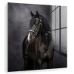 Portret - Paard - Zwart plexiglas 5mm klein -zzzproduct_nieuw