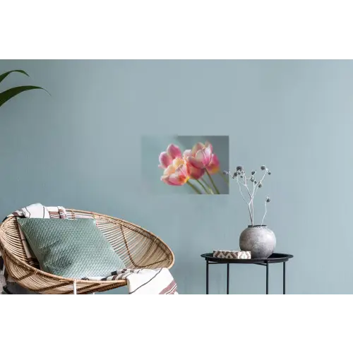 Tulpen - Roze - Stelen Muursticker klein -plant