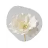 Bloem - Minimalistisch -Wit Wandcirkel Organisch Aluminium middel -3d