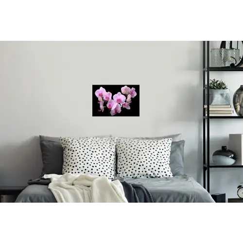 Orchidee - Bloemen - Roze - Flora Muursticker klein -slaapkamer