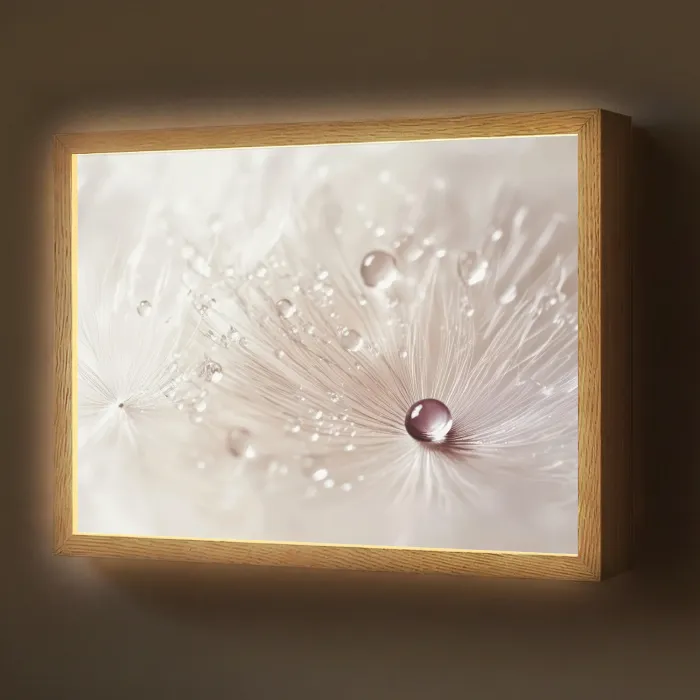 Bloem - Abstract - Wit - Water - Natuur Light Box met batterij (Wandlamp) middel -z3d_website