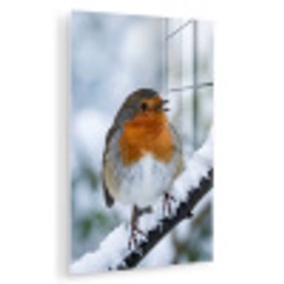 Roodborstje - Tak - Sneeuw - Winter - Levendig plexiglas 5mm klein -zzzproduct_nieuw