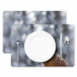 Vos - Sneeuwval - Portret - Winter - Sfeervol Placemat vinyl groot -zzsfeer2_Kitchenyeah-website
