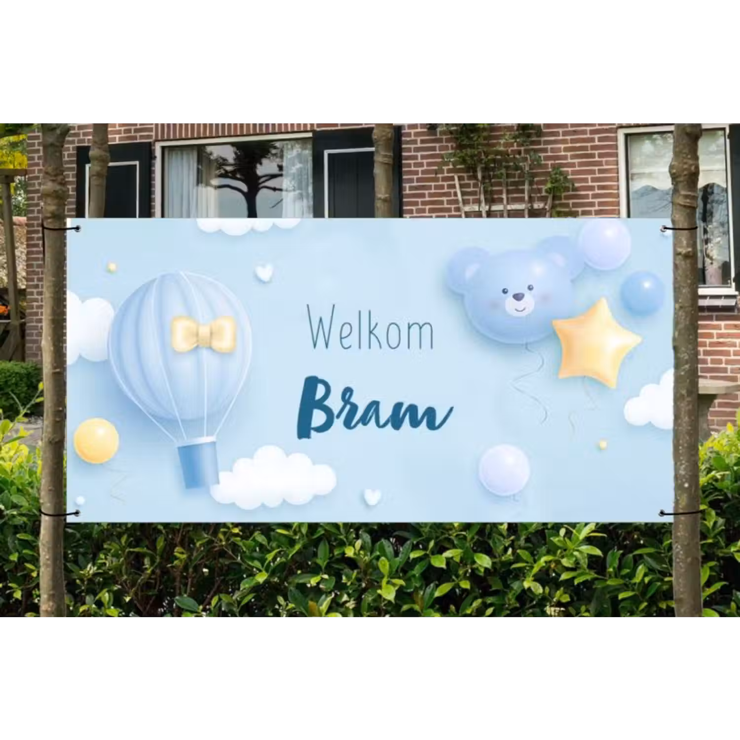 Spandoek - Geboorte - Jongen