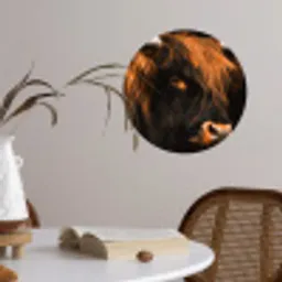Schotse hooglander - Zwart - Koe - Hoorn - Dieren Wandcirkel behangsticker klein -sfeer3