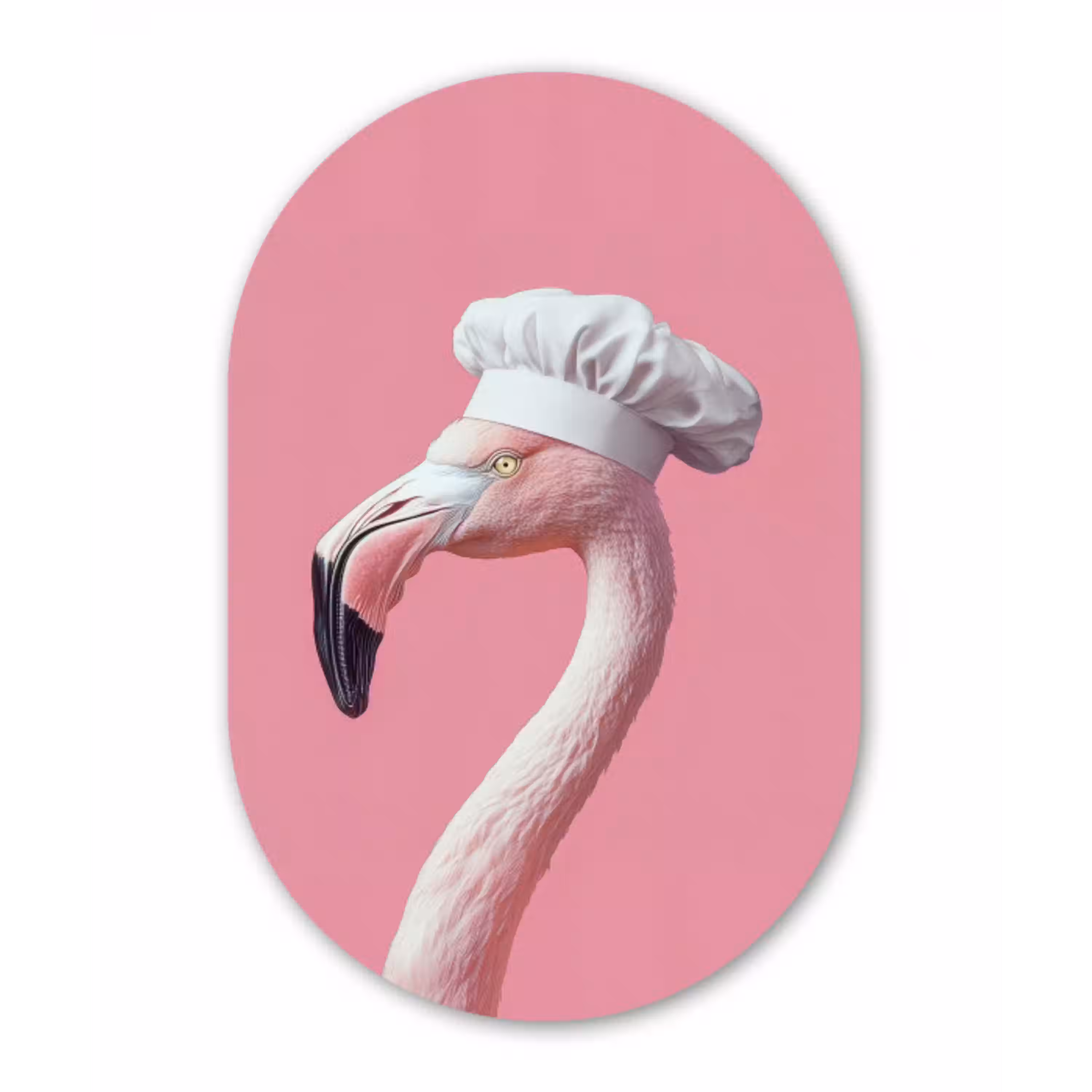 Flamingo - Roze - Koksmuts - Vogel Wandcirkel Ovaal Glas middel -3d