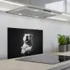 Buldog - Hond - Glas keuken achterwand spatscherm klein -3d_schuin