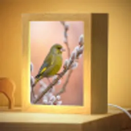 Groenling - Katjes - Lente - Natuur - Zacht Light Box met kabel (Kinderlampje) klein -zzzz_3d_website