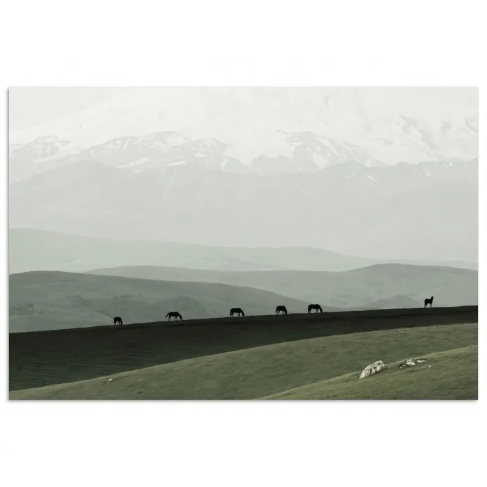 Grijs - Berg - Paarden poster papier klein -3d