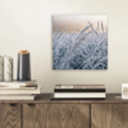 Rijp - Gras - Kristallen - Winter - Minimalistisch aluminium wit klein -sfeer1