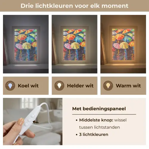 Paraplu's - Schilderij - Kunst - Regenboog Light Box met kabel (Tafellamp) klein -USP_lichtkleurNL