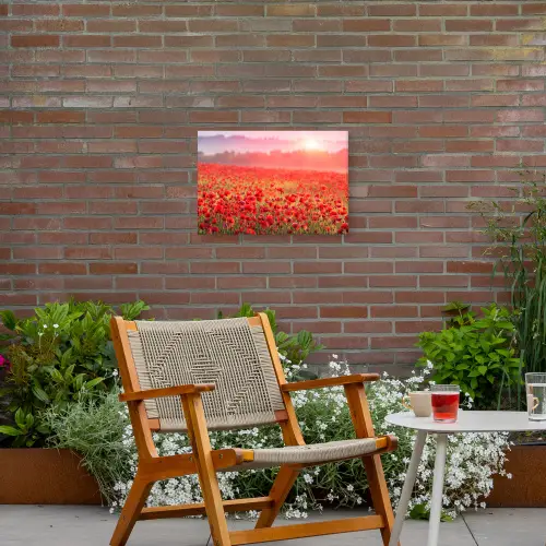 Rode klaprozen in de ochtendzon Tuinposter op houten frame 2 cm dik klein -sfeer3