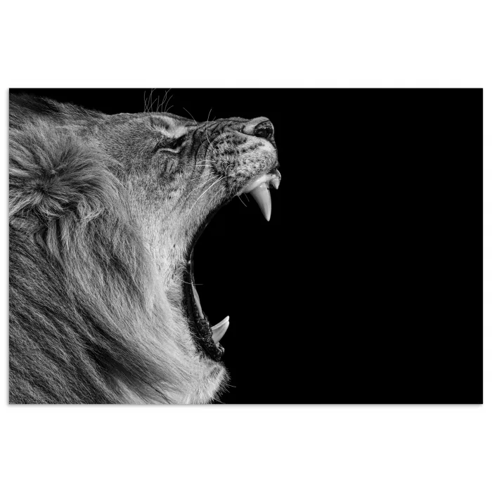 Dieren - Leeuw - Zwart - Wit - Portret poster papier klein -3d
