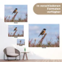 Roodborsttapuit - Heide - Paars - Natuur - Sfeervol tuinposter los doek klein -Xsfeer9_DE