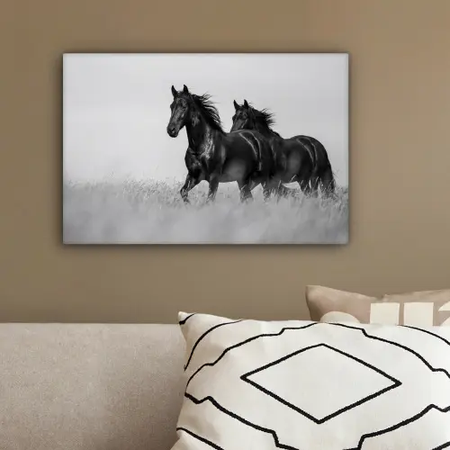Paarden - Gras - Zwart - Wit canvas 2cm klein -sfeer3