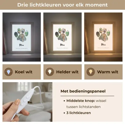 upload-69ddf9ede2b33-dierenpootje Light Box met kabel (Tafellamp) klein -USP_lichtkleurNL