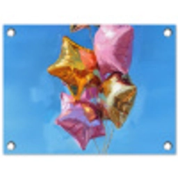 Ballonnen - Goud - Stervorm - Roze tuinposter los doek klein -3d