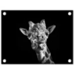 Giraffe - Dier - Zwart - Wit tuinposter los doek klein -3d
