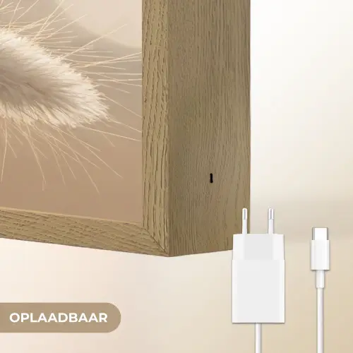 Hazestaartgras - Graanharen - Zonlicht Light Box met batterij (Wandlamp) middel -USP_websiteoplaadbaarNL