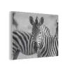 Zebra's - Zwart - Wit PET vilt klein -3d