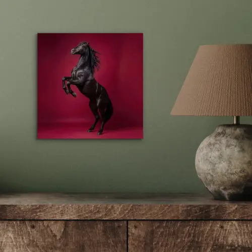 Hengst - Steigert - Rood aluminium wit klein -sfeer2